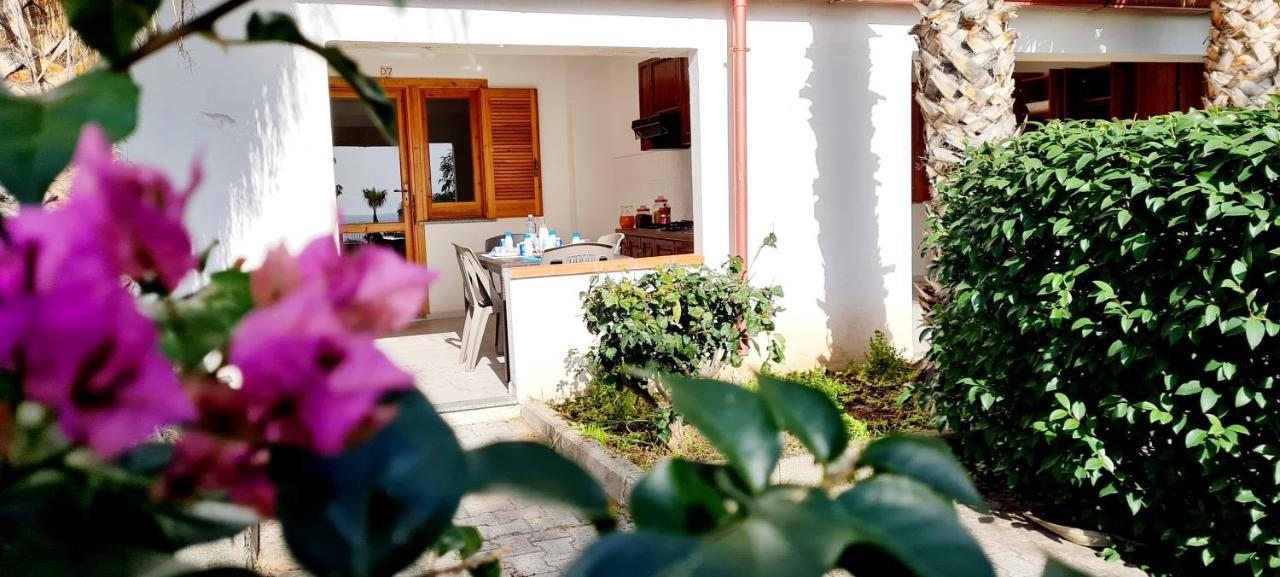 Ninfa Sul Mare Apartments 50 M E T R I Dal Mare Best Breakfast And Free Parking Capo Vaticano Bagian luar foto