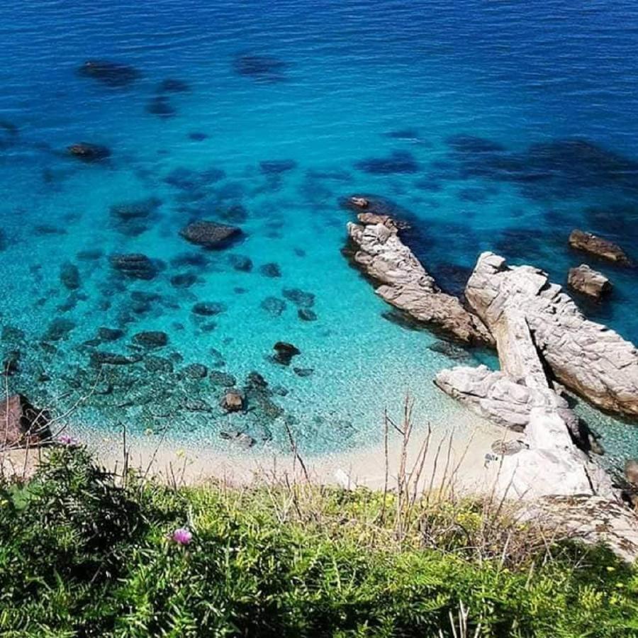 Ninfa Sul Mare Apartments 50 M E T R I Dal Mare Best Breakfast And Free Parking Capo Vaticano Bagian luar foto