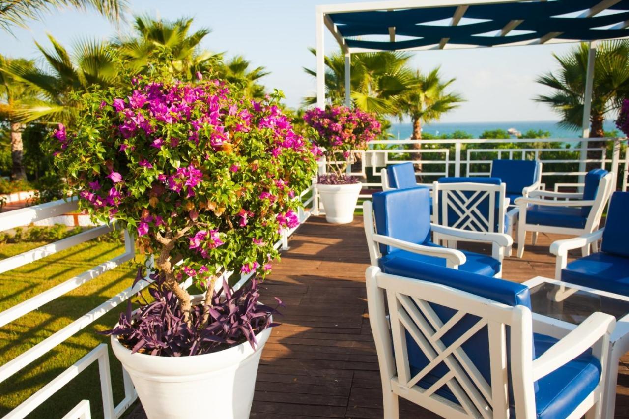 Ninfa Sul Mare Apartments 50 M E T R I Dal Mare Best Breakfast And Free Parking Capo Vaticano Bagian luar foto